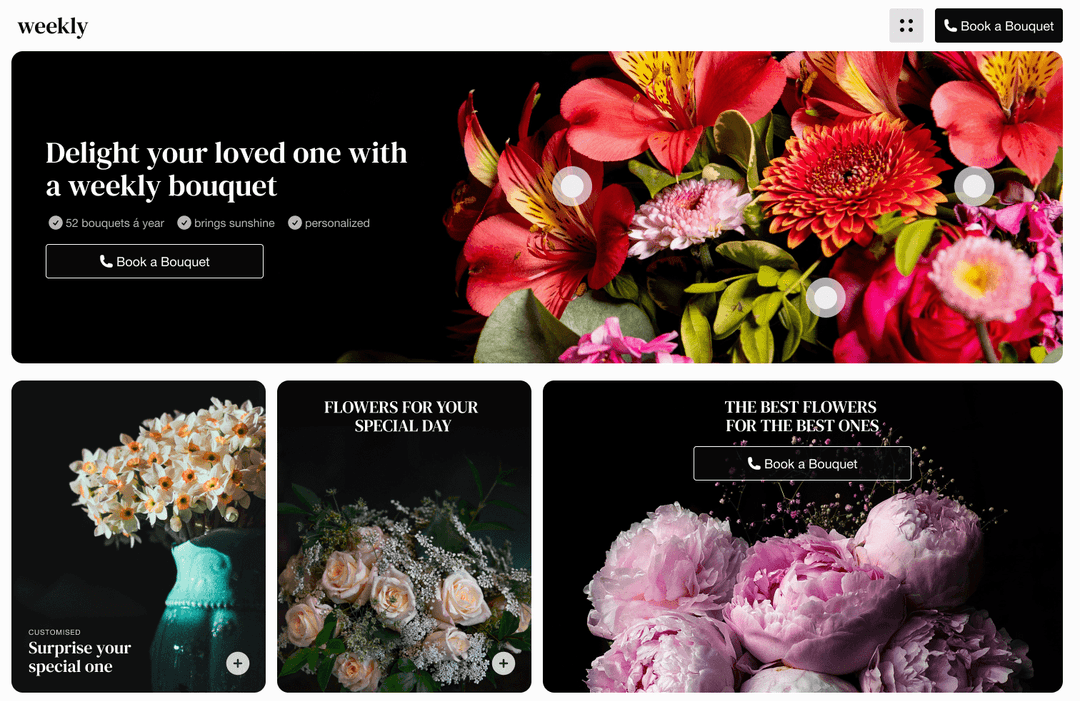 Website project image